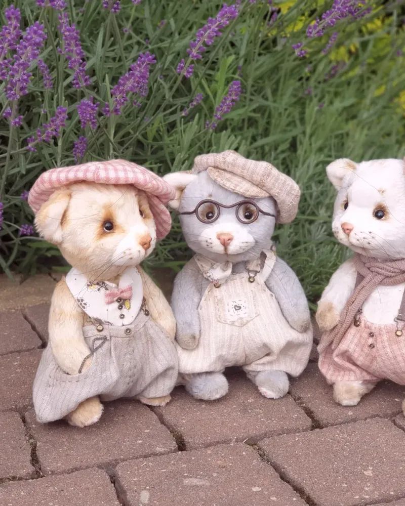 Котёнок Рани — Основной