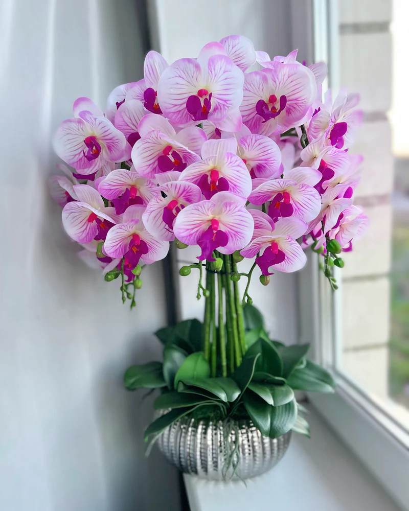 Композиция с орхидеями🌸