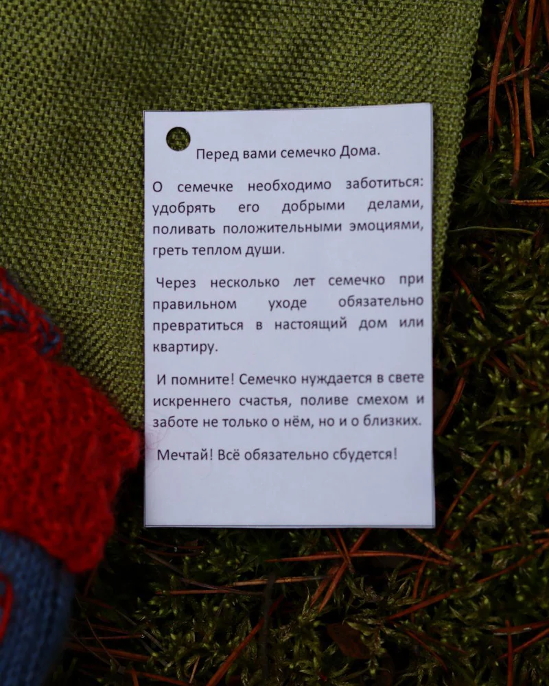 Елочная игрушка домик, Семечко дома
