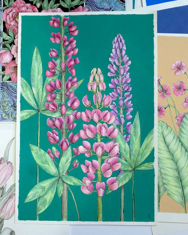 Люпины. Рисунок на бумаге — без рамы