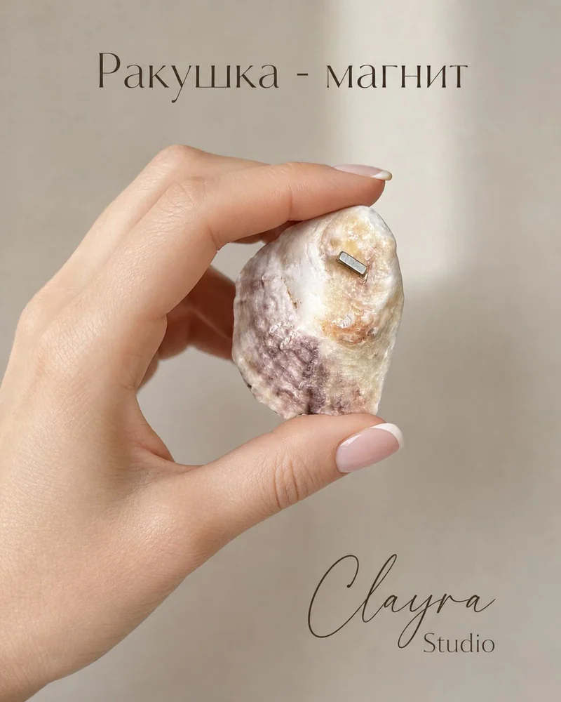 Магнит-ракушка — Магнит-ракушка