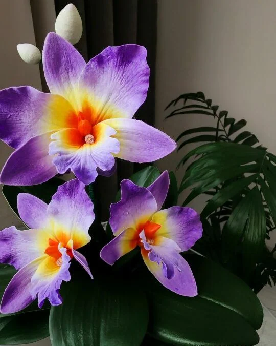 Ночник орхидеи "Лилу мини"
