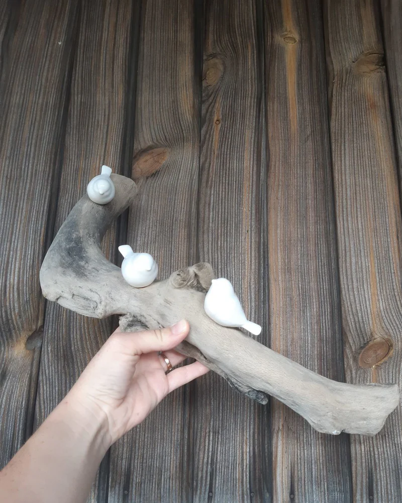 Белые птички на морской коряжке