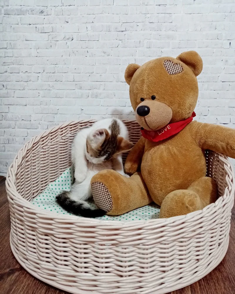 Лежанка для кошек плетеная