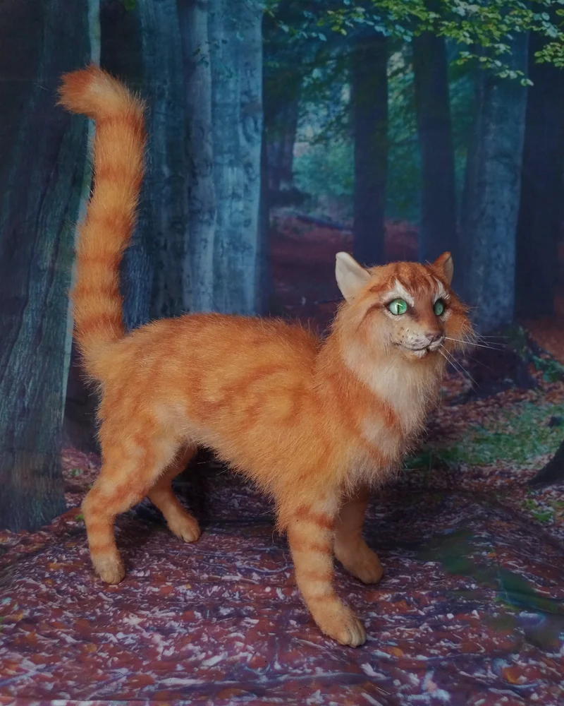 рыжий кот воин Огненная Звезда