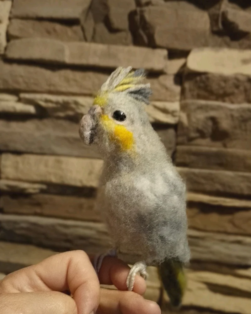 Попугай Корелла. Игрушка из шерсти