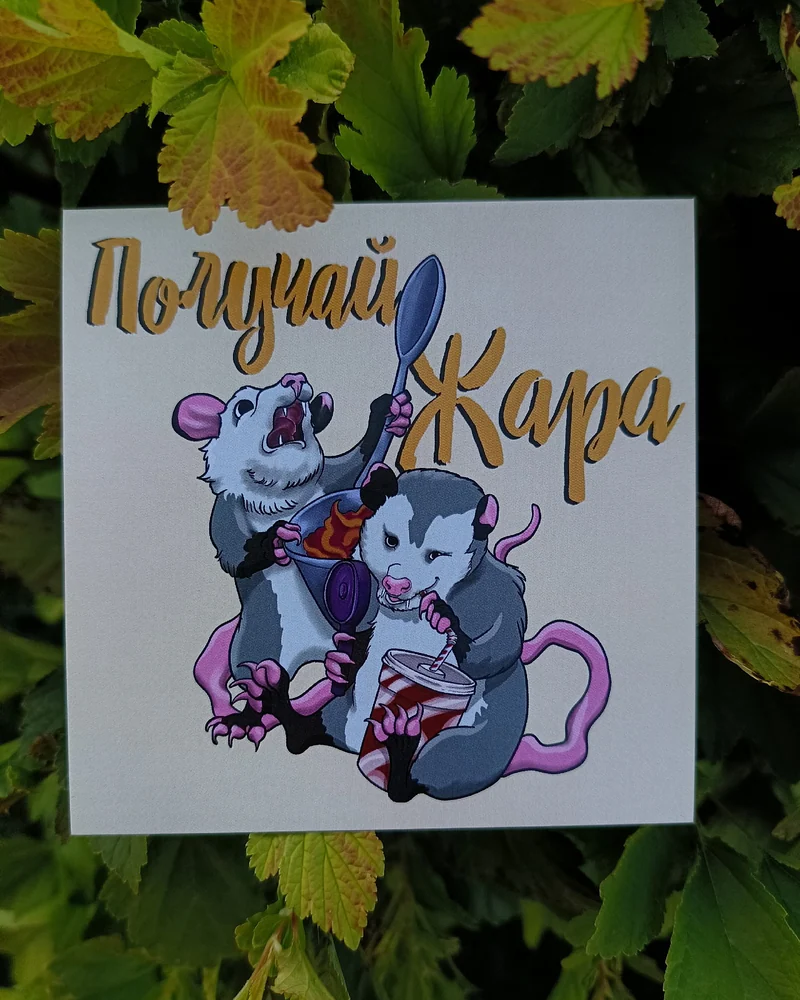 Опоссум "Получай жара"