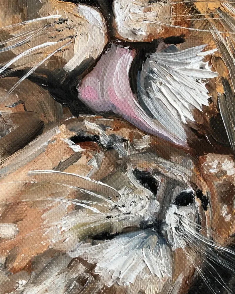 Лев и львица. Картина маслом 20×30 см — 20×30 см