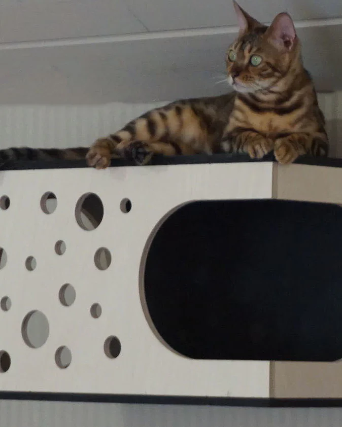 лежанка настенная для кошек, домик для кошек подвесной на стену "Космос-3" VIMBESK — Черный