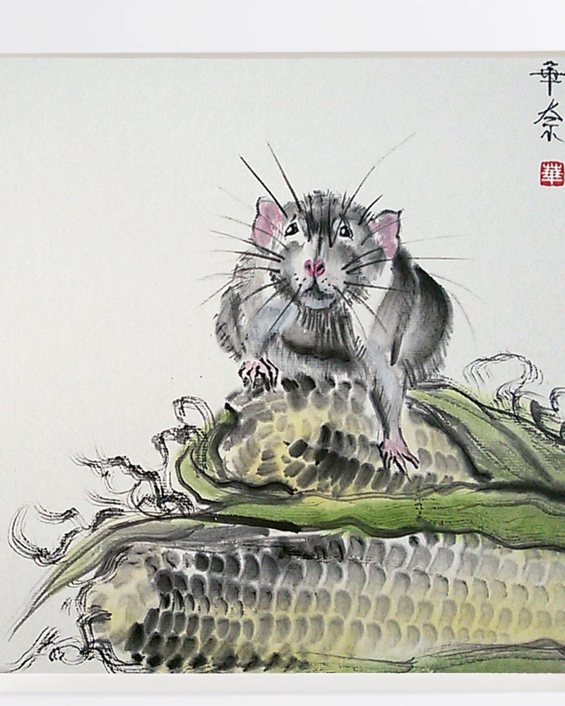 Картина Это моя кукуруза! 23x23 желтый осень лето крыса