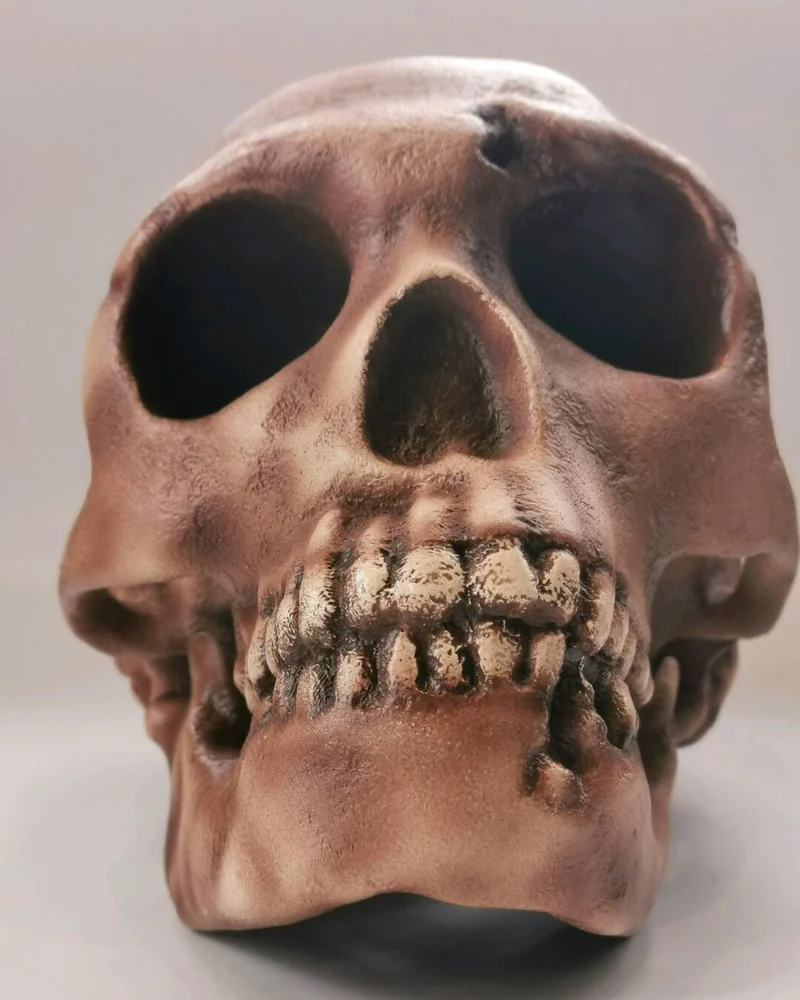 Реплика черепа Homo neanderthalensis (Le Moustier 1)