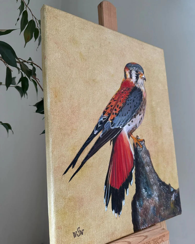Картина маслом 30×40 см. Falco. Сокол — Оригинал