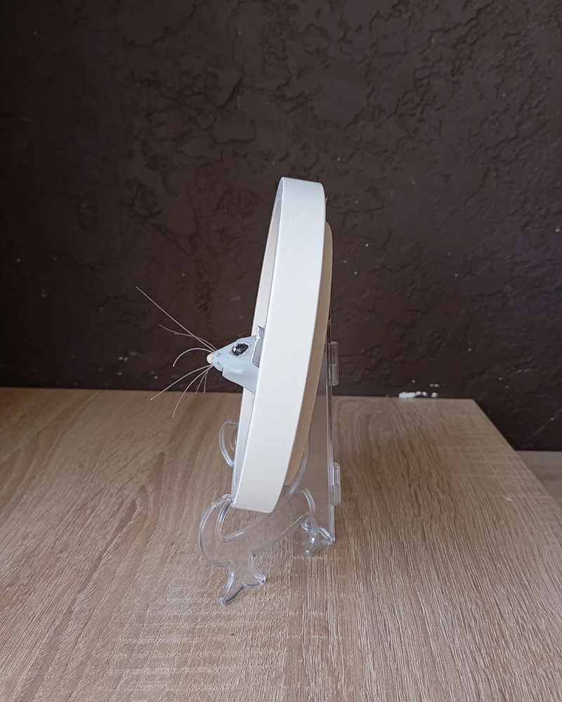Интерьерное украшение, настенная тарелка "Мышь" - 3D. — Мышь амбарная серая