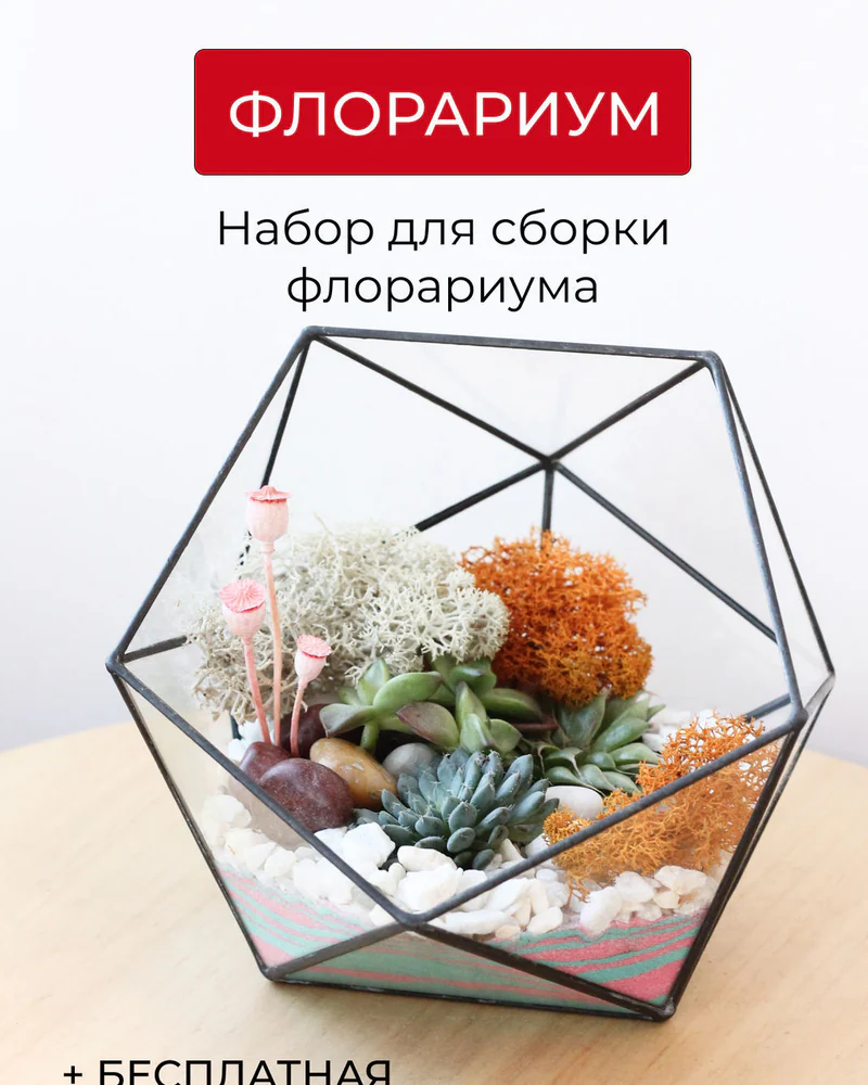 Флорариум, Набор для самостоятельной сборки флорариума — Основной