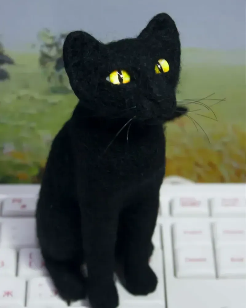 Чёрная кошка, игрушка из шерсти — Основной