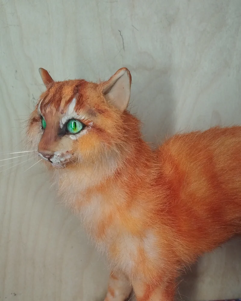 рыжий кот воин Огненная Звезда