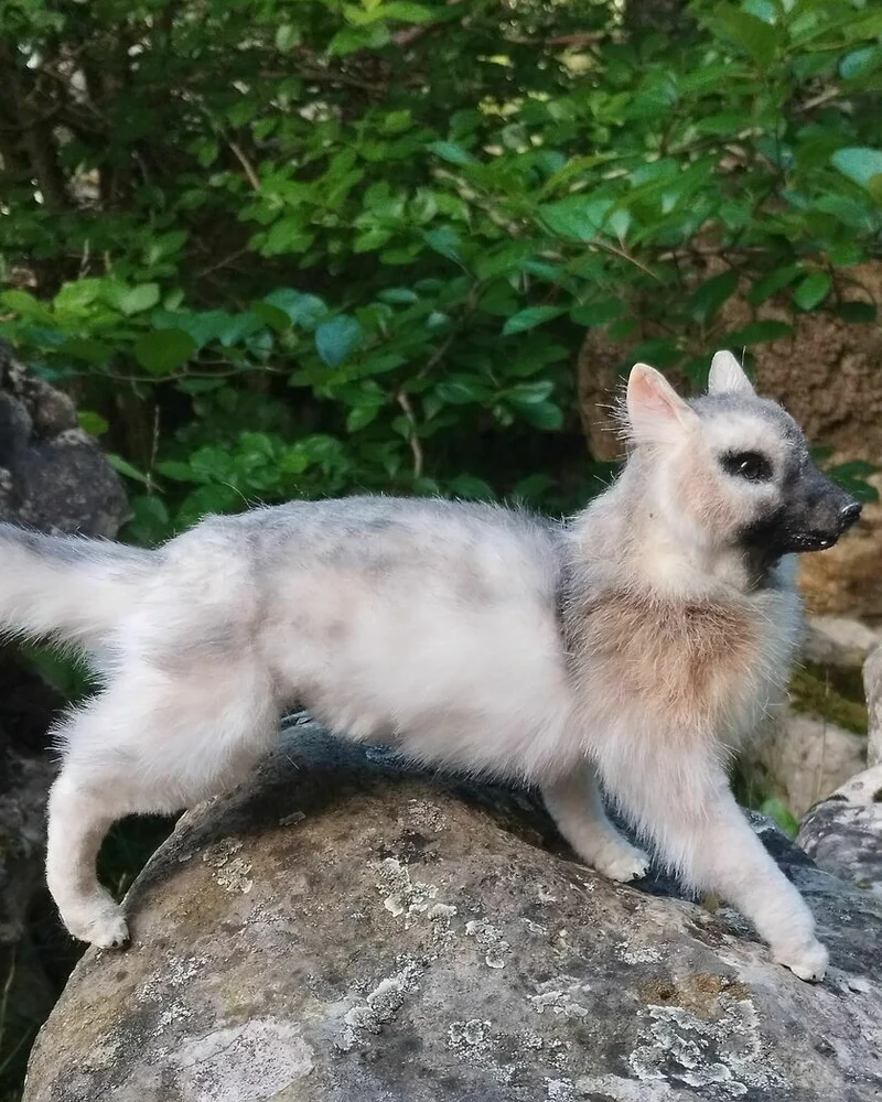 Собака серая, коллекционная игрушка 1:6 — Собака серая, коллекционная игрушка 1:6