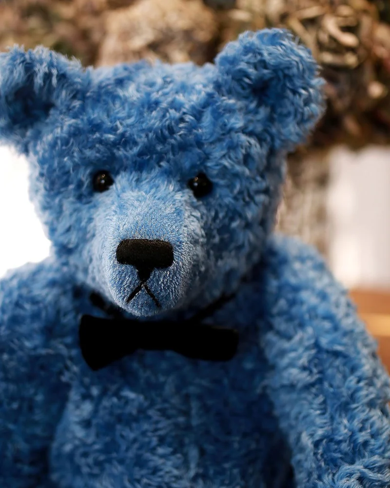 Bear — синий