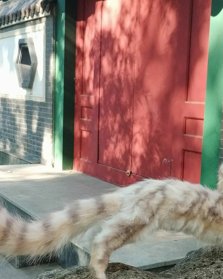Тигродракон белый, коллекционная фигурка — Тигродракон белый, коллекционная фигурка