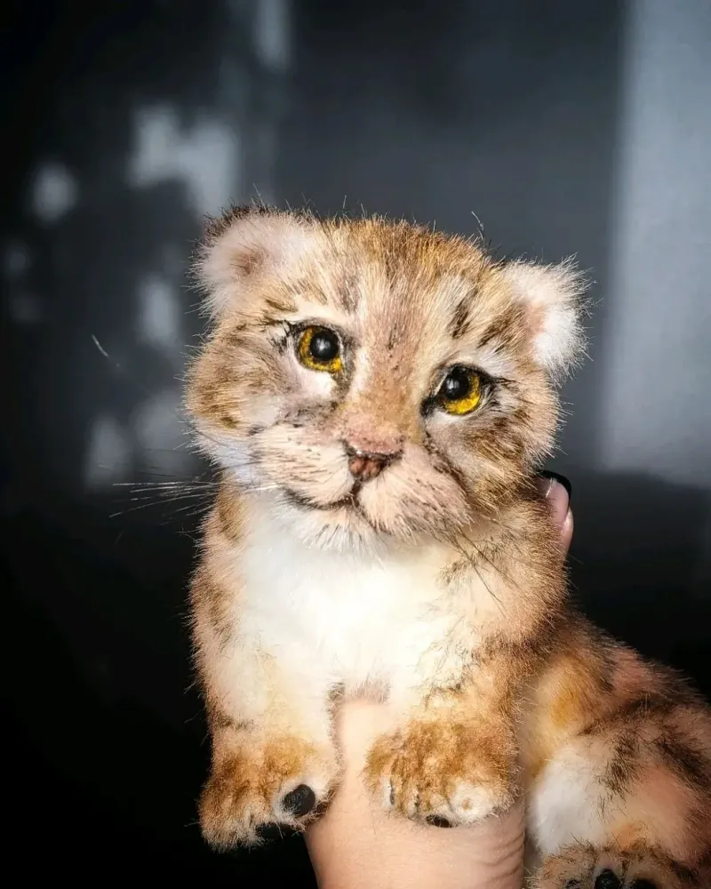 Реалистичный тигрёнок