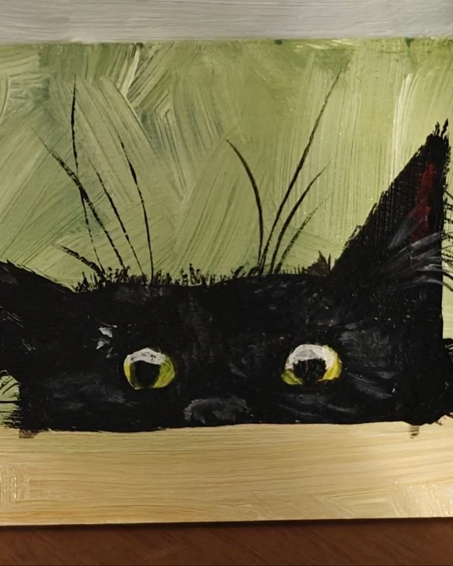Котик — Черный котик