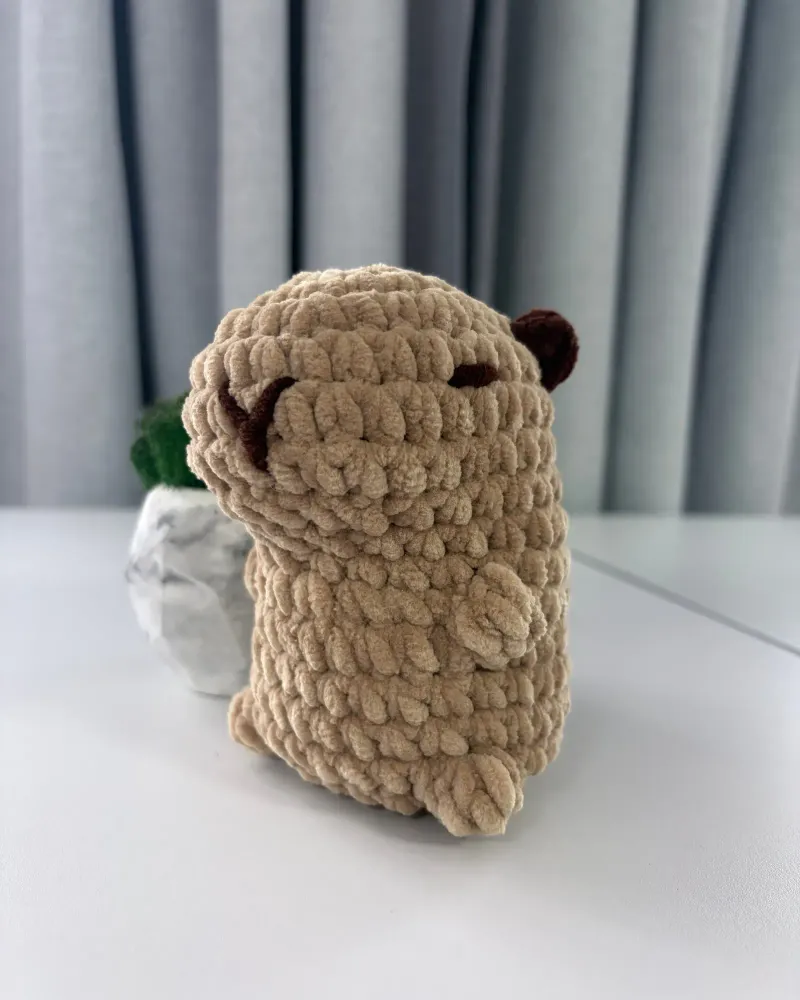 Капибара