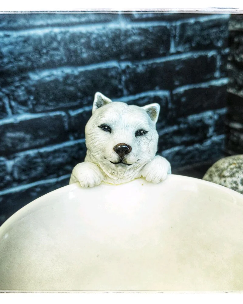 Кружка с корги