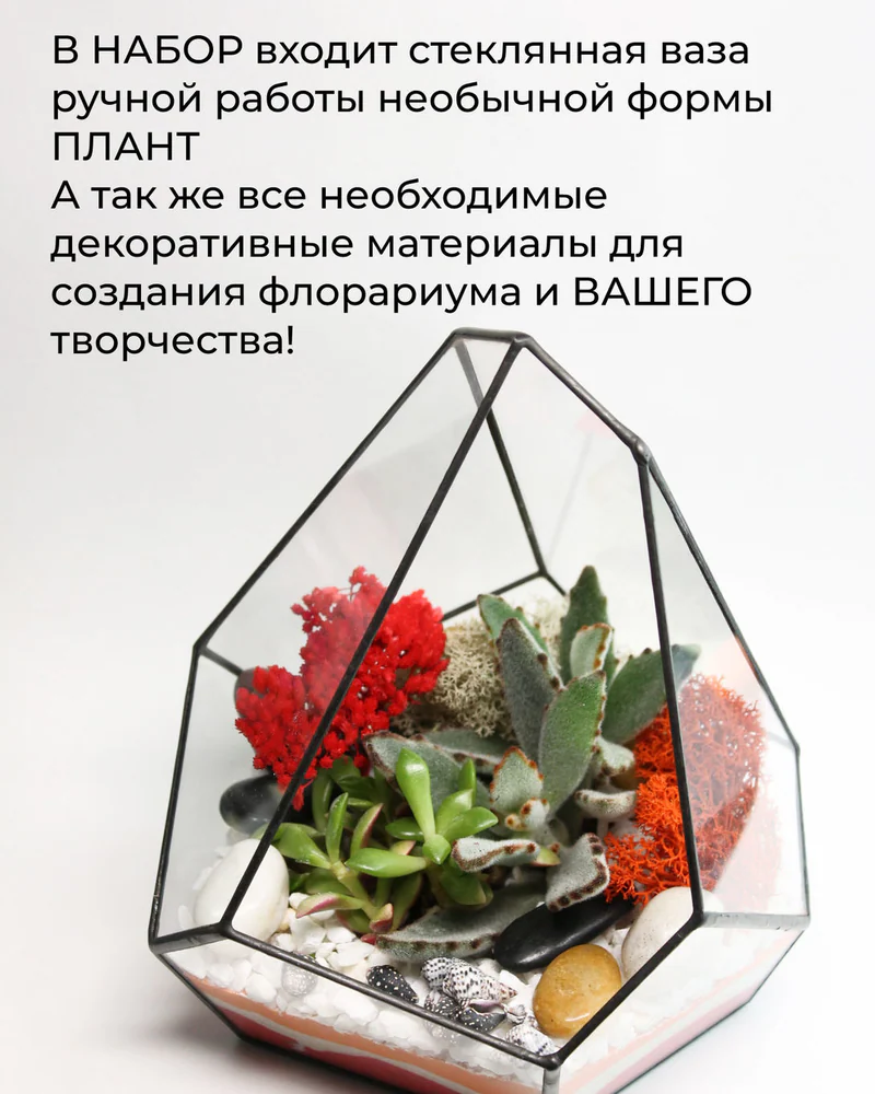 Флорариум, Набор для самостоятельной сборки флорариума Планта — Основной