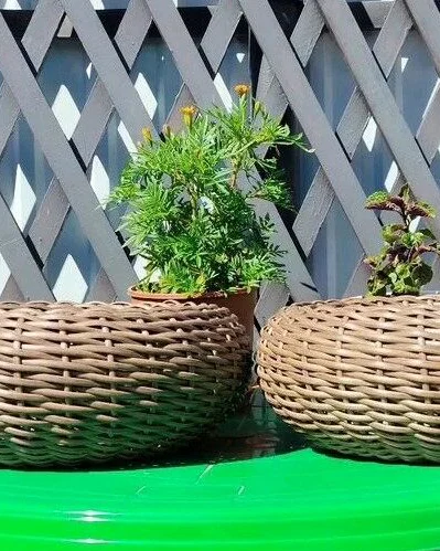 Кашпо «Таблетка» из ротанга, бежевое, 10 л