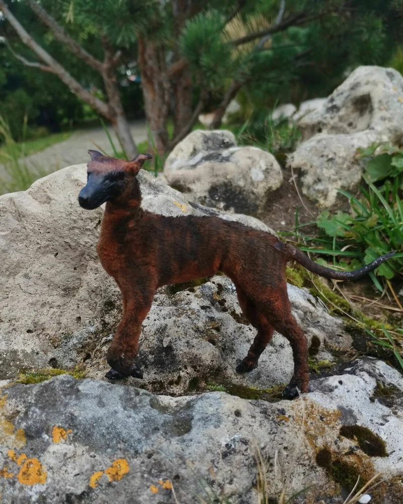 Уиппет тигрового окраса, фигурка 1:6 для куклы — Уиппет тигрового окраса