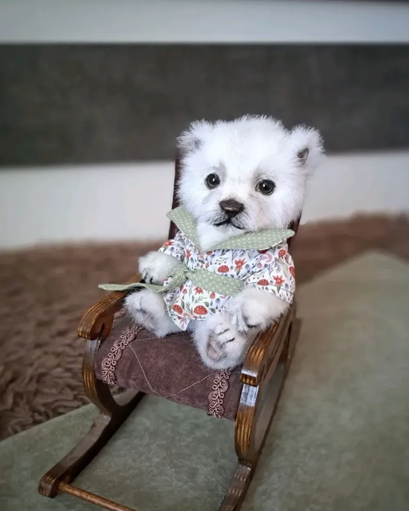 Мишка тедди Север, белый