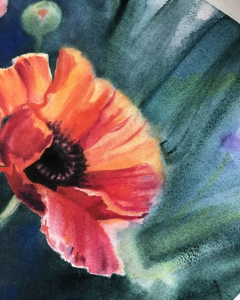 Маки. Полевые цветы акварелью — 30×40 см