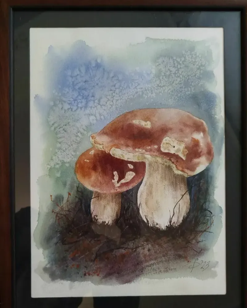 Грибы. Картина акварелью в раме — 26×35 см, в раме