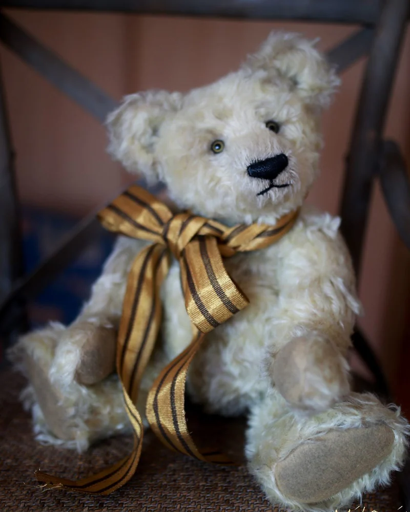 Bear — серый