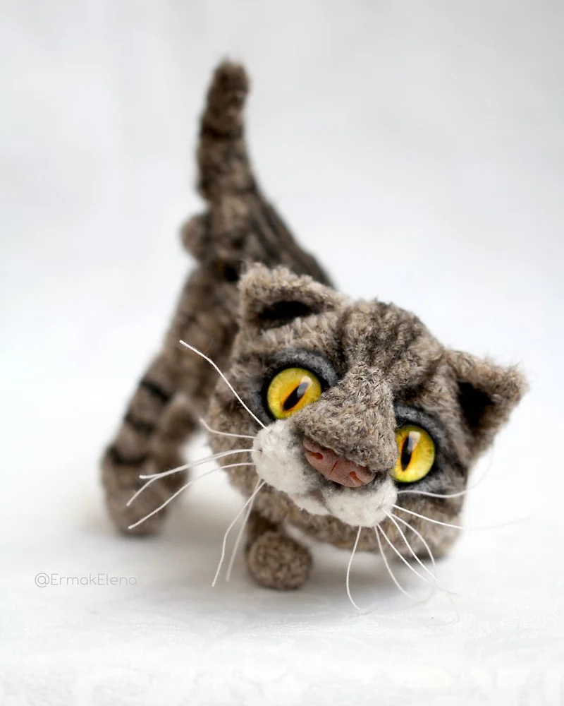 Василий кот