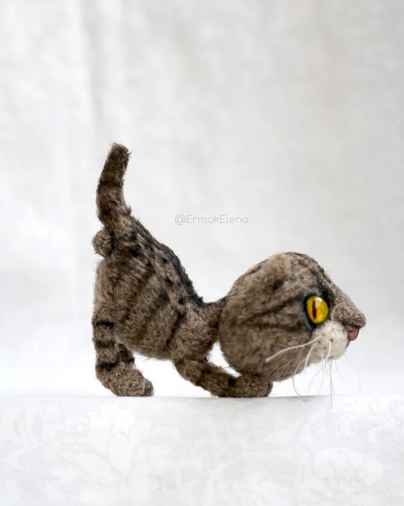 Василий кот