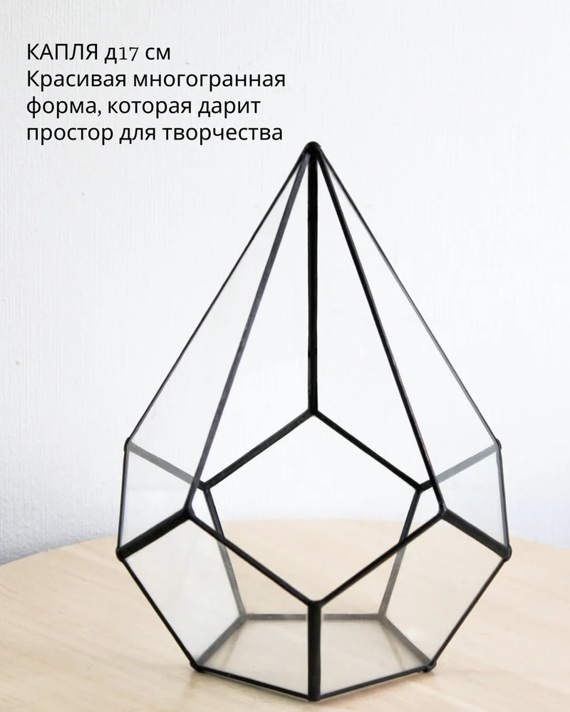 Флорариум, Набор для самостоятельной сборки флорариума капля с розой — Основной