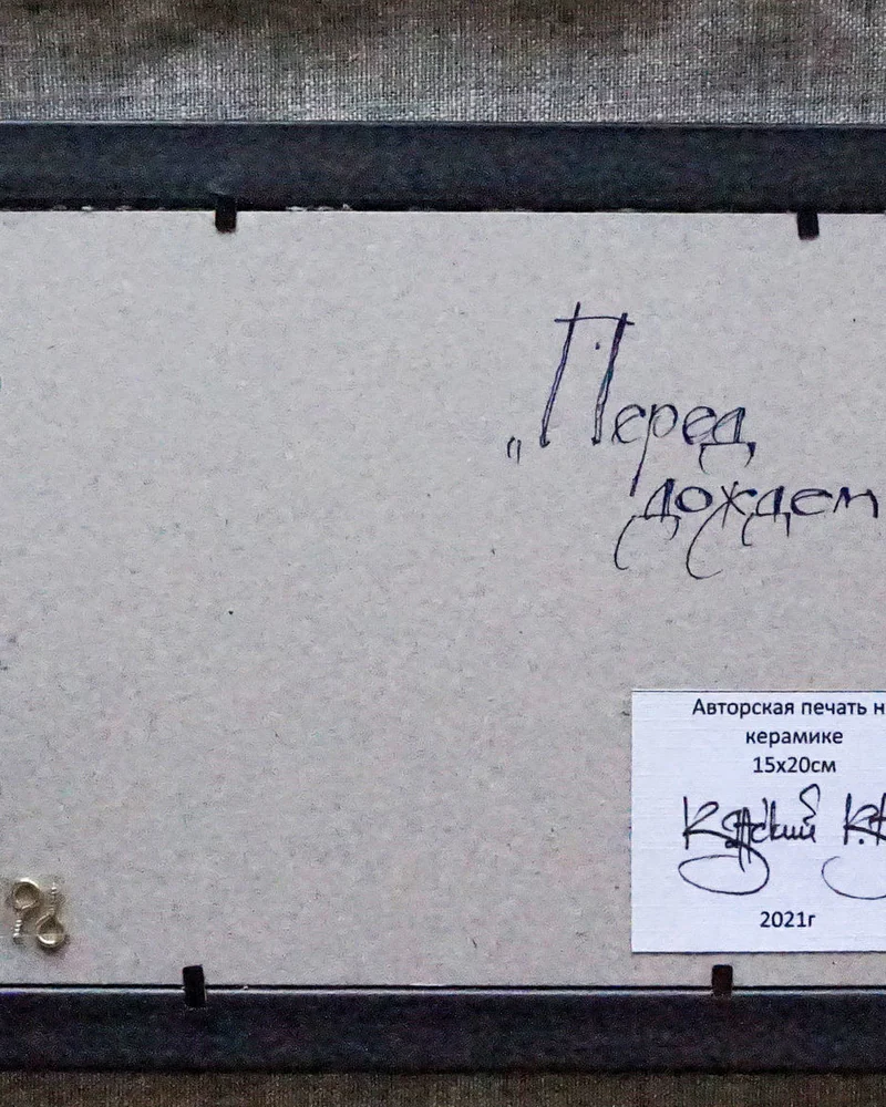 Сублимационная плитка "Перед дождем"