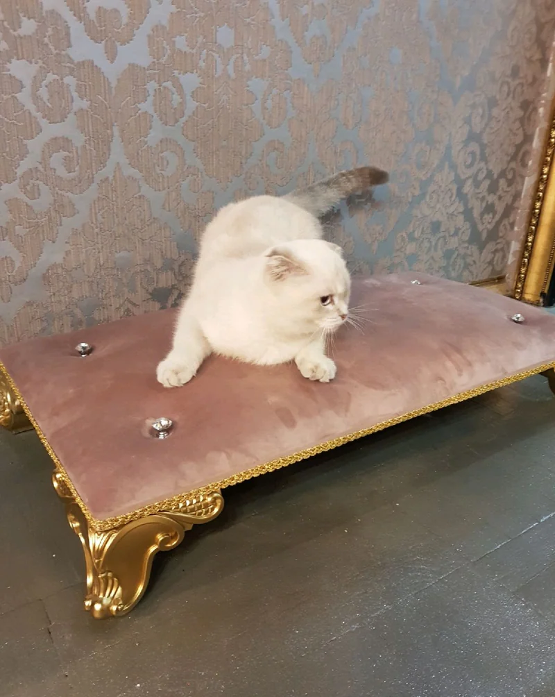 Лежанка для кошек и собак 80 см (синий) — Основной
