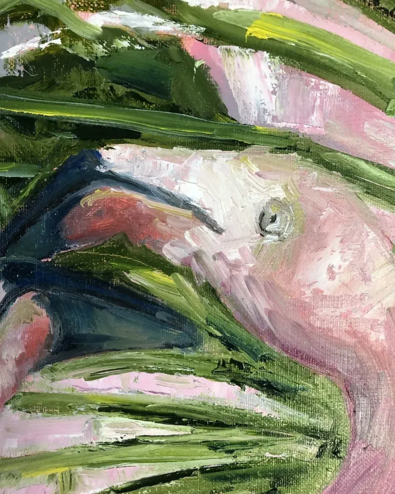 Фламинго. Картина маслом 50×60 см — 50×60 см