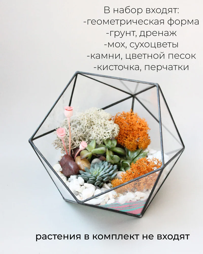 Флорариум, Набор для самостоятельной сборки флорариума — Основной