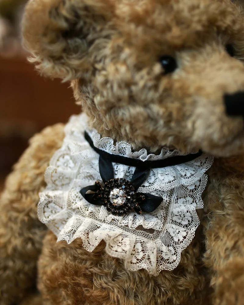Михаил — коричневый