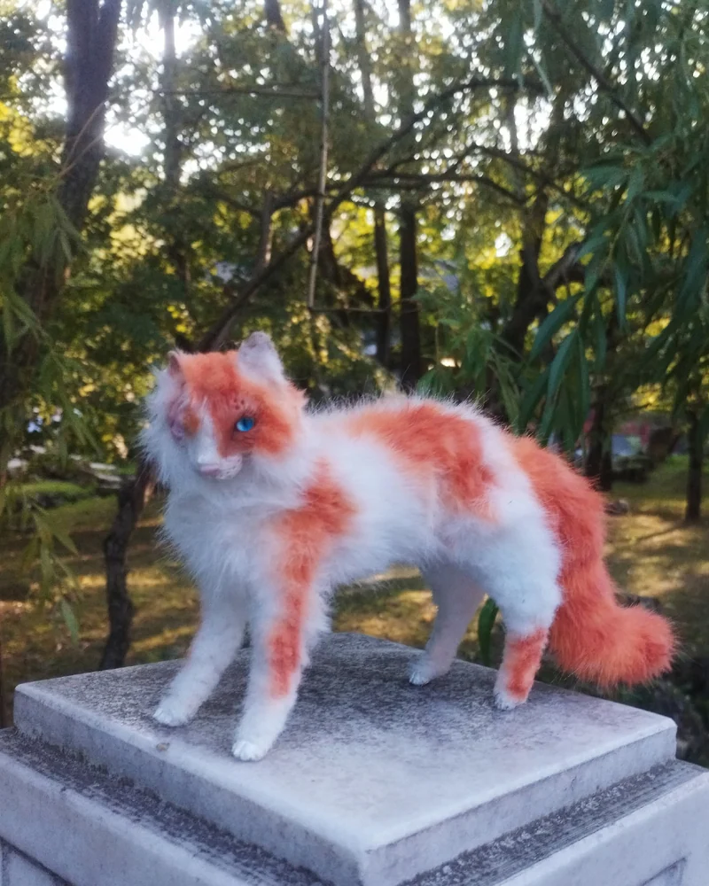 Рыжая кошка воин Яркое Сердце