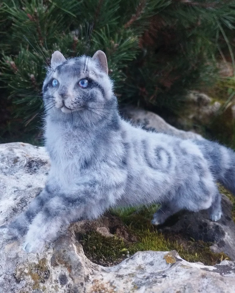 кот голубой шаман Перо Сойки