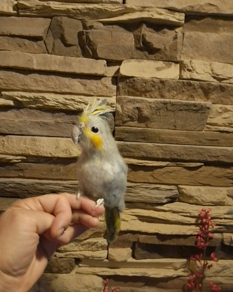 Попугай Корелла. Игрушка из шерсти