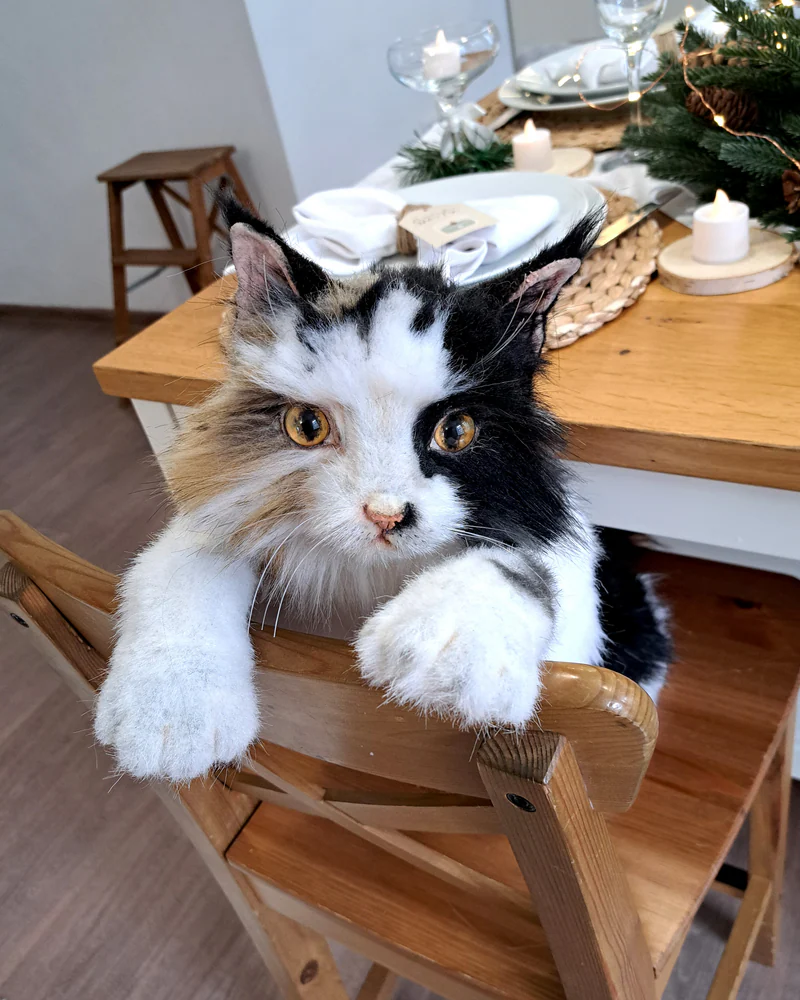 Реалистичная кошка Женька