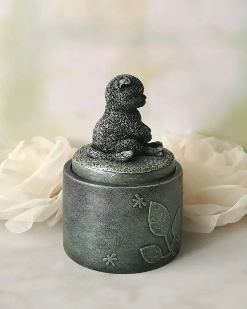 Шкатулка с шотландским вислоухим котиком
