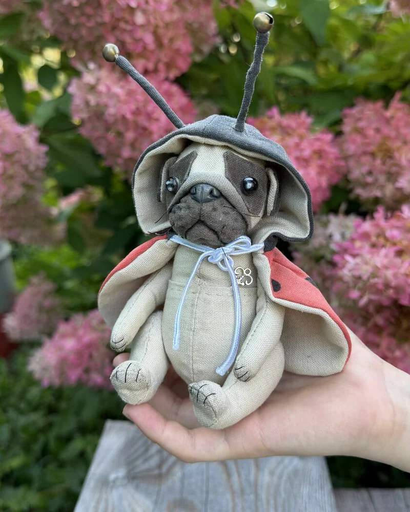 Мопс