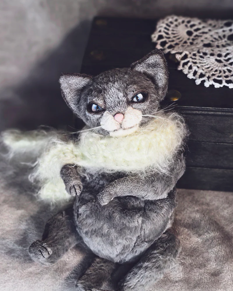 Кот тедди серый — Серый кот тедди