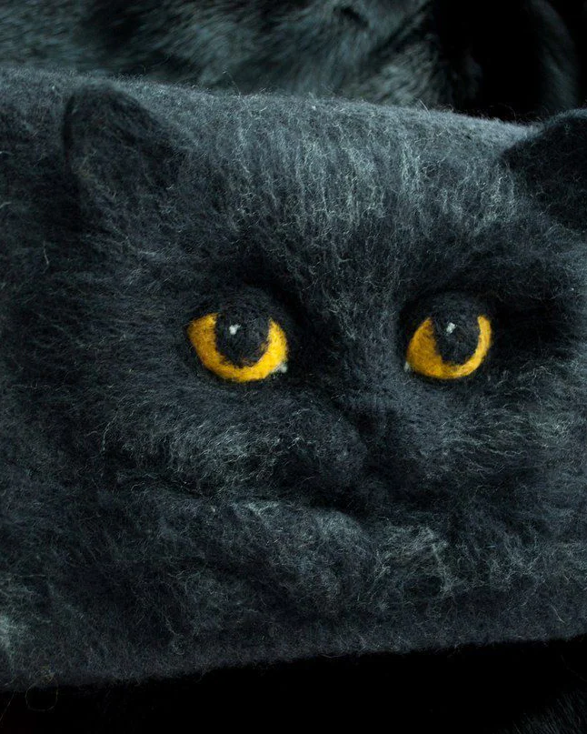 Валяная сумка "Чёрный кот"